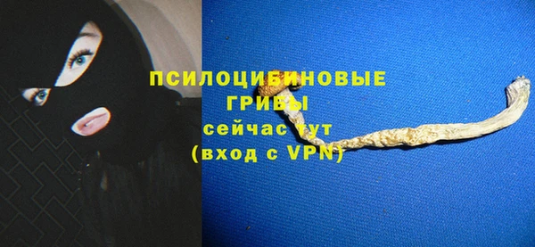 дмт Бугульма