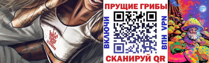 Псилоцибиновые грибы прущие грибы  Дзержинск 